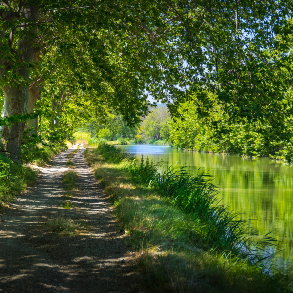 canal du midi voyage organisé pour groupe astrada occitanie