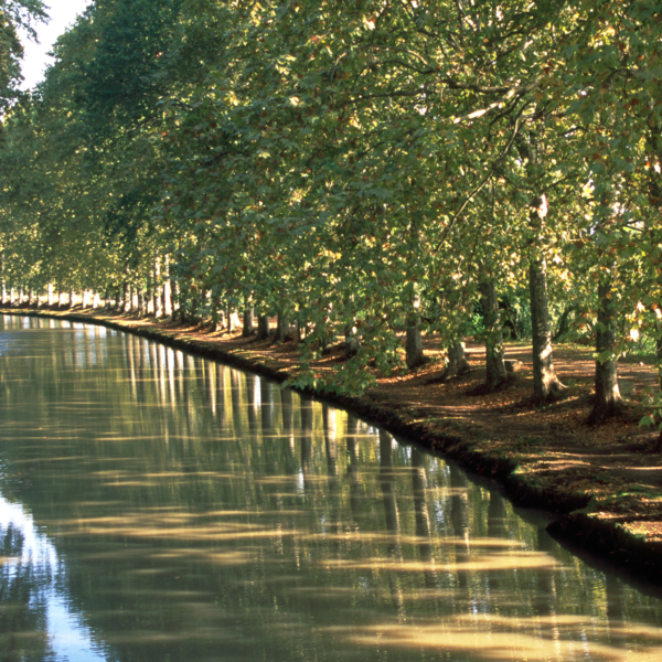 canal du midi voyage organisé pour groupe astrada occitanie