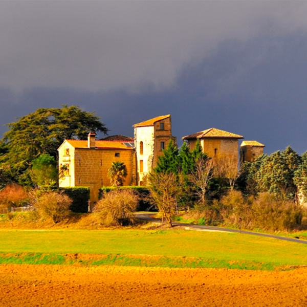 Pastel l'or bleu occitan séjour groupe