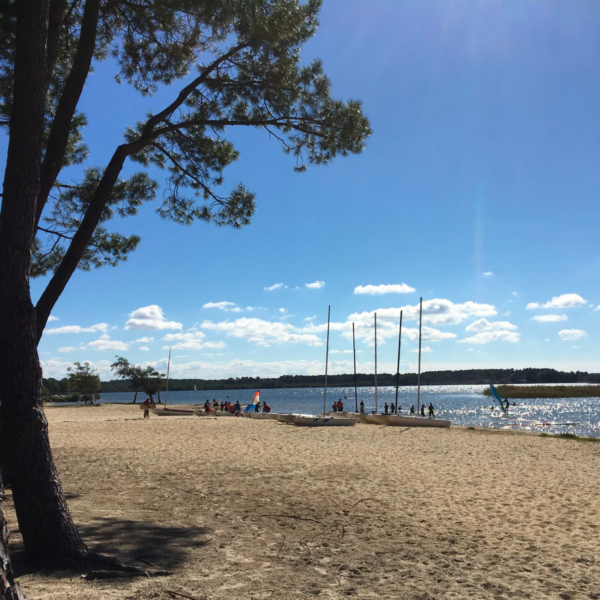 Group Stay in the Landes